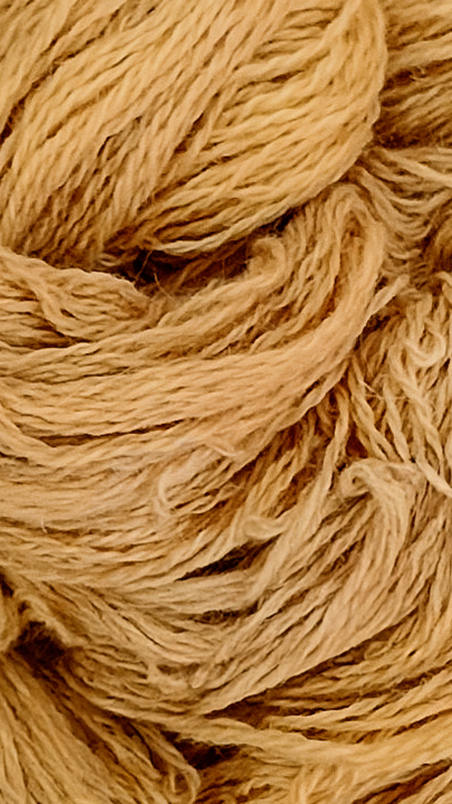 Yarn Pantone 16 1331